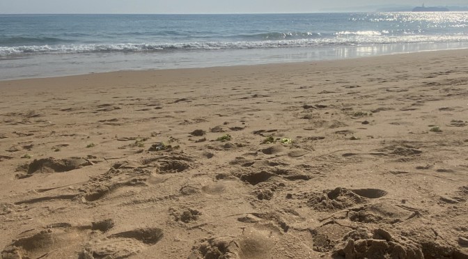 Camino Packing – My Camino Shower Kit