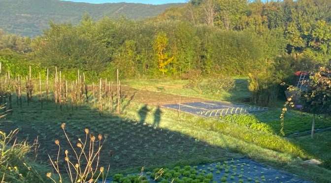 Camino del Norte – Day 1 Irún to San Sebastián