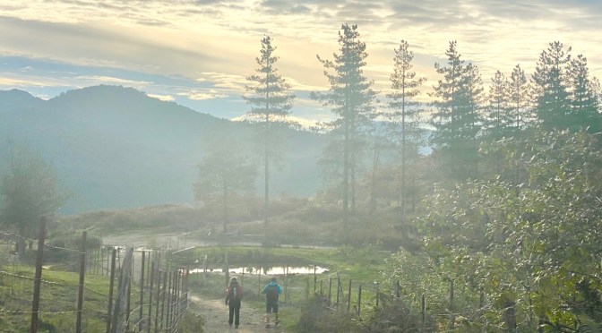 Camino del Norte – Day 4 Mutriku to Ziortza Bolibar