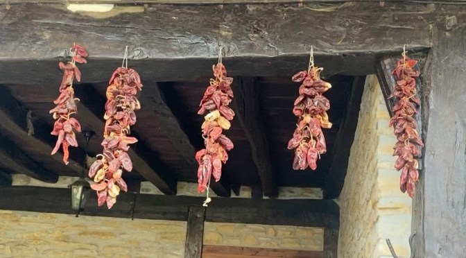 Camino del Norte – Day 5 Ziortza Bolibar to Pozueta