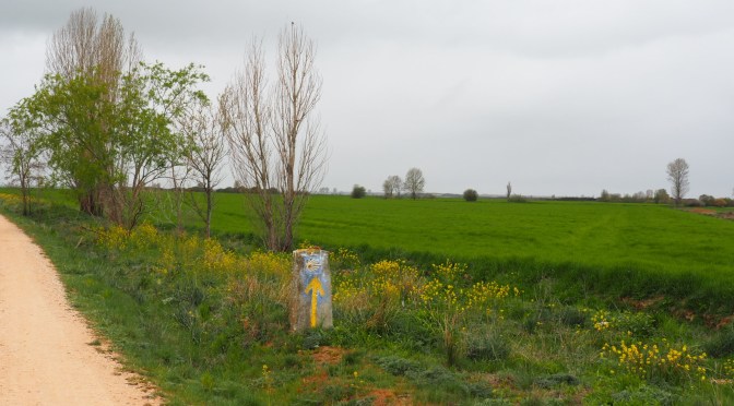 Everything has a time and place …